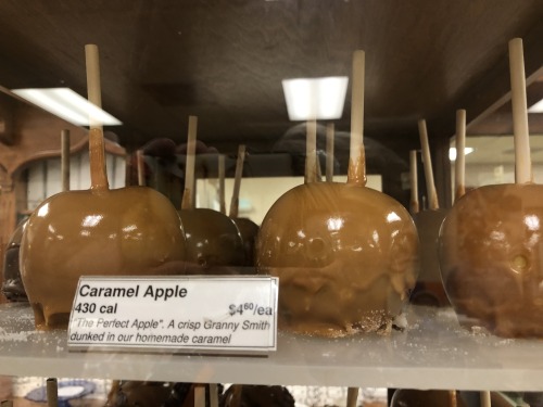 thathalloweenyfeeling:Caramel Apples