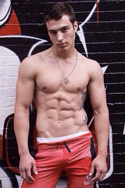 shirtlifting:  Matthew Evangelisti 