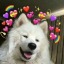 sweetmusicwritingempath