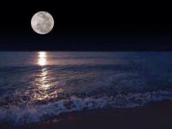 Meet Me In That Wonderful Dream….