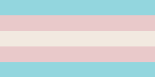 the transgender flag color picked from the previous image