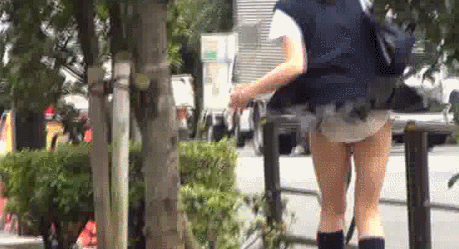 (【※奇跡※】神がかったJKの風パンチラGIFが発見されるｗｗ 遭遇したら死んでいいわコレｗｗｗｗｗｗｗ（画像あり） | にっぷる!!エロ画像まとめから)