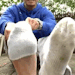jfeet14: