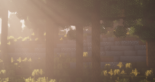 Dappled Sunlight~Currently working on something big ^-^