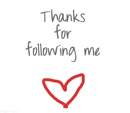 Thank you to all 95 of my followers! Such great beginnings.