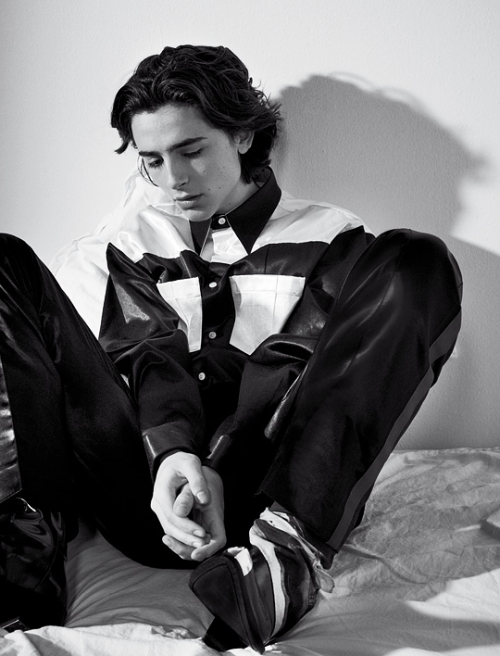 tchalametdaily:  Timothée Chalamet@ Collier Schorr | VMAN Magazine