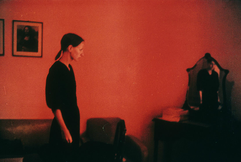 bavians:  The Ballad Of Sexual Dependency by Nan Goldin 