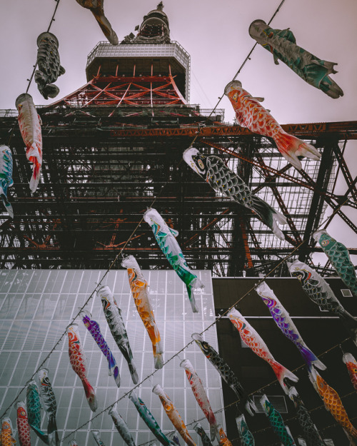 Koinobori with Tokyotower in the background Koinobori(colorful fish flags) is flapping outside in ce