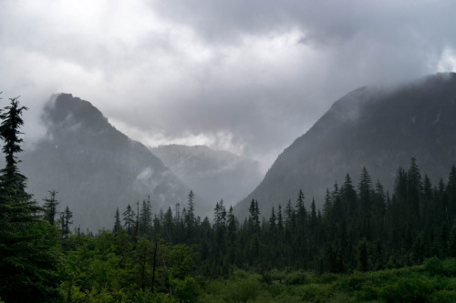 90377:Misty Mountains by Reed Starkey