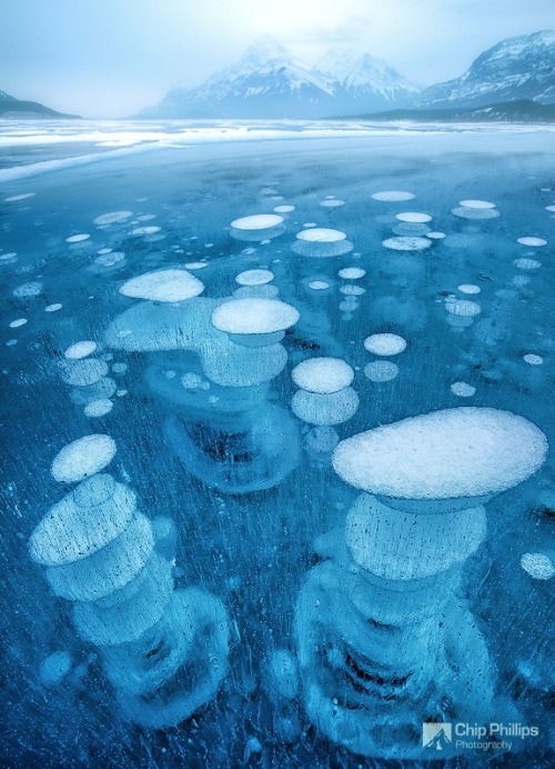 XXX sosuperawesome:  Frozen Bubbles Suspended photo