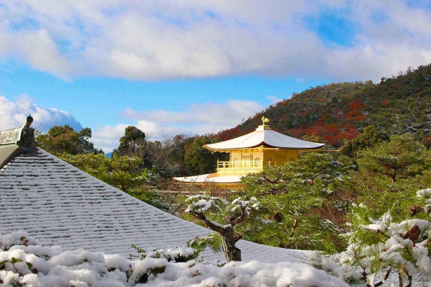 chitaka45:雪の朝　籠の中の世界遺産　❄️金閣寺❄️Kinkakuji temple with snow 