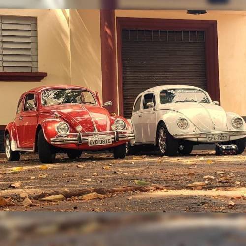 fuscasclub:  🇧🇷𝙁𝙊𝙇𝙇𝙊𝙒 @𝙁𝙐𝙎𝘾𝘼𝙎𝘾𝙇𝙐𝘽📍 🇧🇷 🇧🇷 🇧🇷 🇧🇷 🇧🇷 #fuscasclub 🇧🇷 🇧🇷 🇧🇷 🇧🇷 🇧🇷 #Käfer #Kugelporsche #Coccinelle #Σκαθάρ #Σκαραβαίος