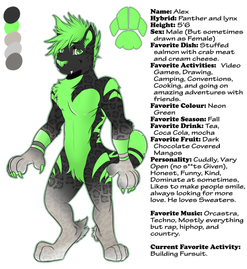 So I decided to redesign my furry character before I fully started making him into a fursuit. I hope