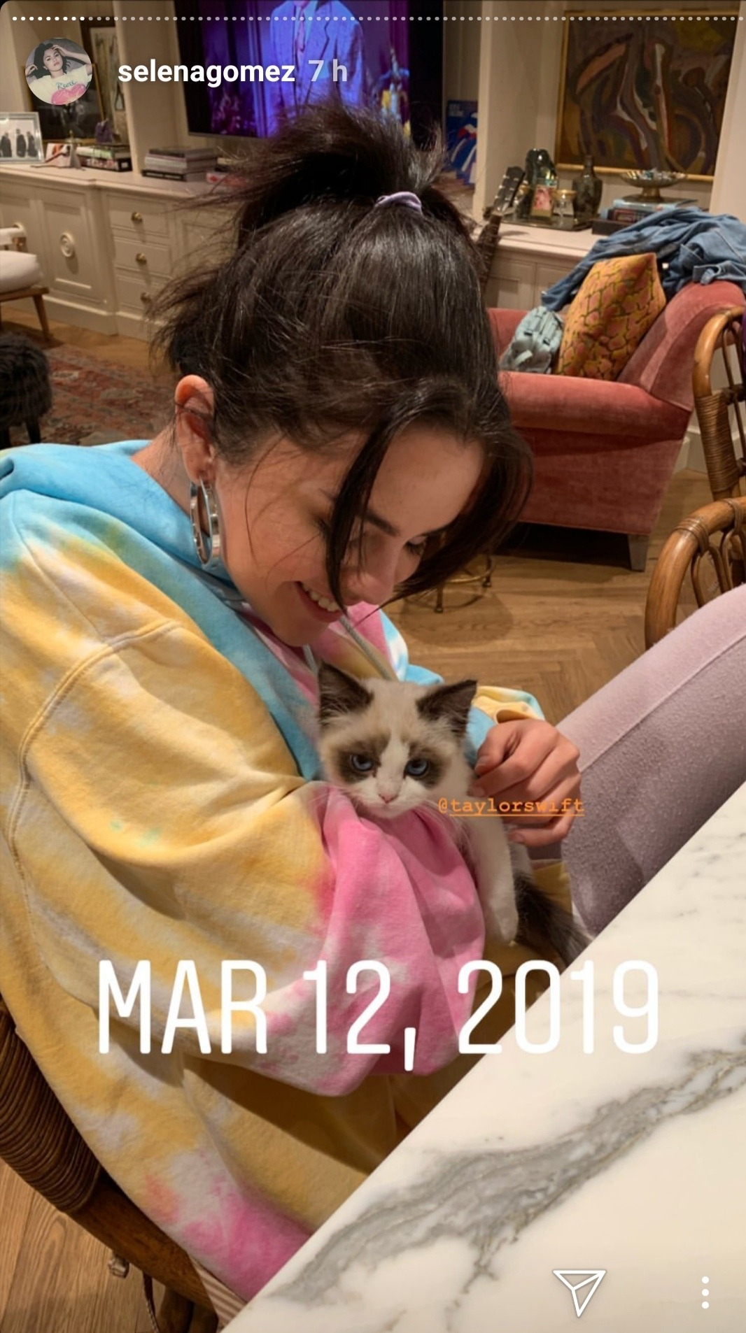 Benjamin Button Cat - bmp-level