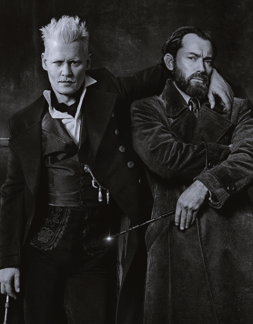 morton-vald:Gellert and Albus 30 years apart.  After final trailer this makes even mo