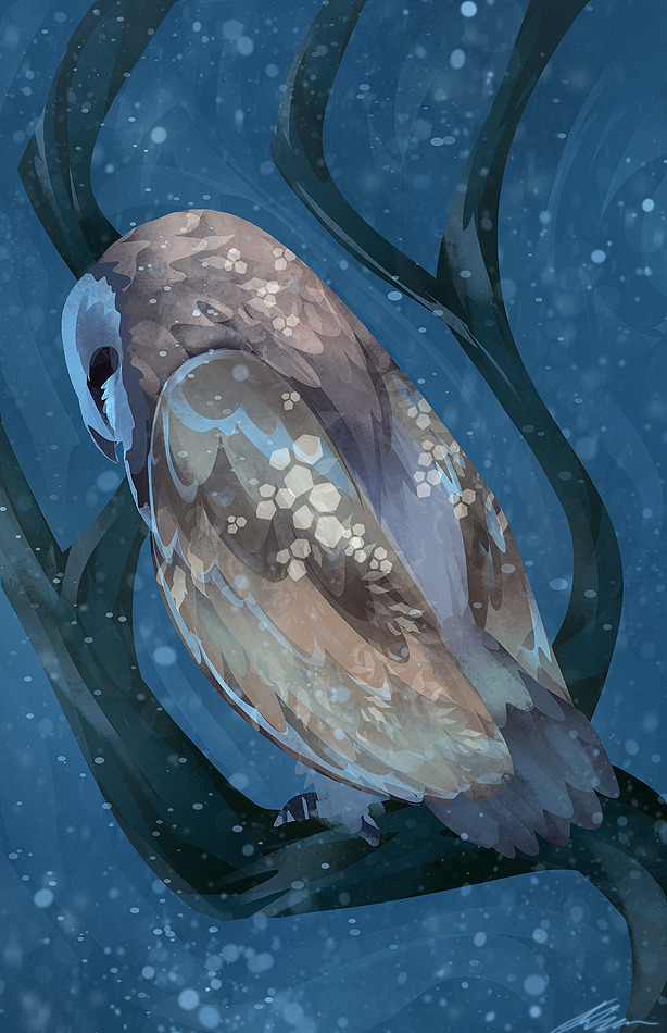 zandraart:  chilly owl 