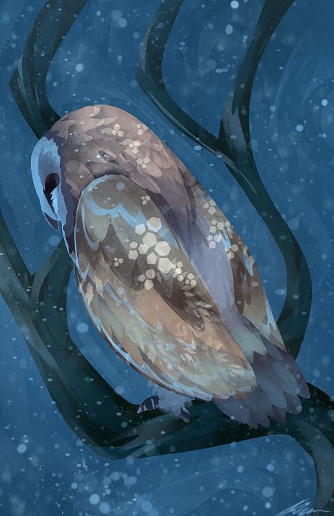 zandraart:chilly owl
