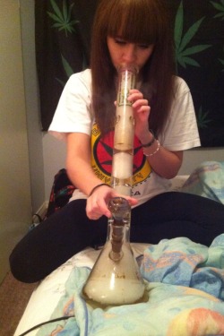 pizza-weed-cats:  ayy lmao 