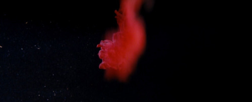 Loving Still Life (2012) - Red, white, blackBertrand Mandico / Pascale Granel