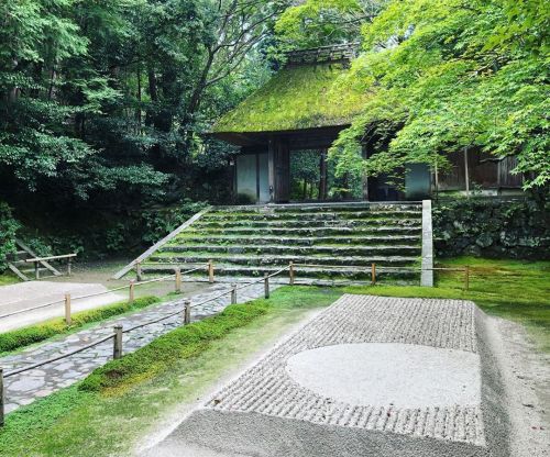 ＼おにわさん更新情報／ ‪[ 京都市左京区 ] 法然院庭園 Honen-in Temple Garden, Kyoto の写真・記事を更新しました。 ーー例年通りなら4月1～7日に特別公開される #法