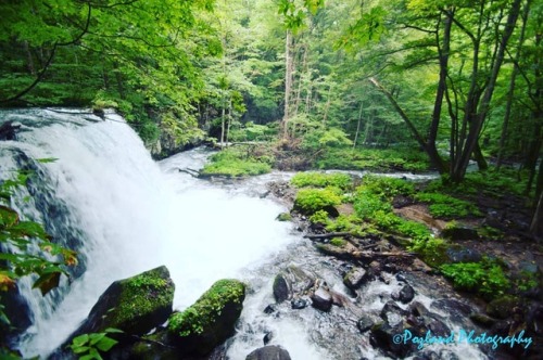 Waterfall in Aomori, Northern Japan - #japan #asia #aomori #waterfall #forrest #greenery #folliage #