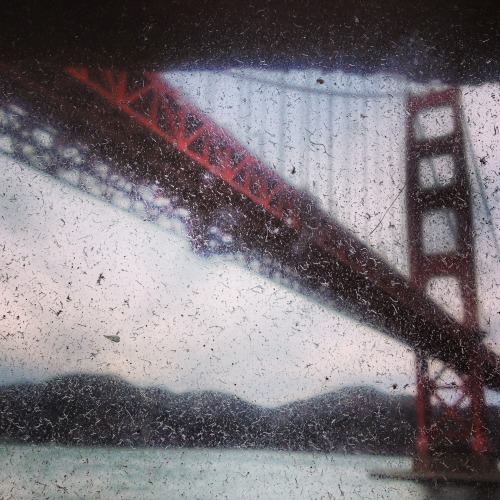 San Francisco. My true love.