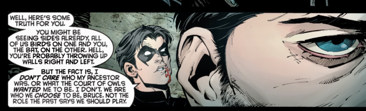 #Nightwing from Of Bats And Birds