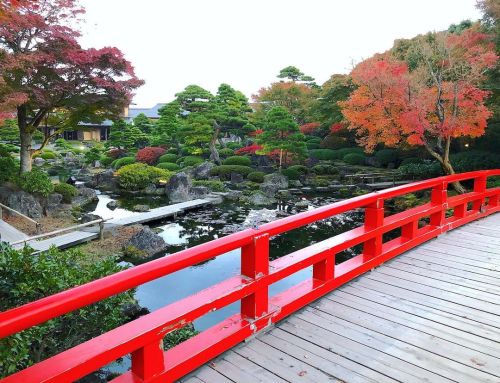 由志園 [ 島根県松江市 ] ② Yushien Garden, Matsue, Shimane ーー門脇栄が作庭した山陰・島根を代表する日本庭園の一つ。春の“三万輪の池泉牡丹”や季節の庭園ライトアッ