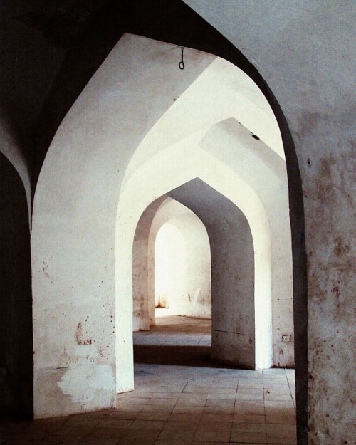 Amer Fort.