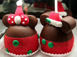 dashofdisney:  Mr. &amp; Mrs. Apple Claus Flickr credit: amyr_81  