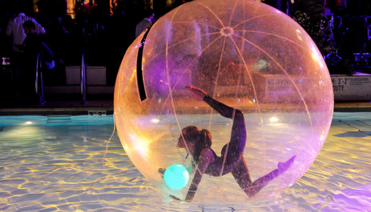 Zorb Ball Performers | Endless EntertainmentLooking for something different for your next event? Book Endless Entertainments fabulous Zorb Ball Performers! From partner choreography, to ambient Contortions, our Zorb Ball Performers will leave you and your guests wanting more. You can have our talented Zorb Ball Performers at your next Private, Public, or Corporate party! Our Zorb Ball Performers are known for livening up any atmosphere! Invite our incredible Zorb Ball Performers with LED and Contortion incorporation to your next Resort or Cruise Ship Entertainment. We have special offers and packages for Atlanta and Las Vegas Event Planners ! Your one stop shop for all your Dance and Circus speciality entertainment. Zorb Ball Performers are perfect for any Event! Hire our Zorb Ball Performers for your next Public, Private, Corporate, or Military Event!Whatever the venue, Endless has got you! Light up your Casino, Resort, or Cruise Ship with Endless Entertainment’s best Zorb Ball Performers. Endless can come live in concert or film us for your new upcoming Movie , Television Series. Contact us today to create some magic at your upcoming event! Performing for audiences from Atlanta to Las Vegas, and continents around the world. Our extremely talented performers cater to any event! Contact us to book our Zorb Ball Performers today, and prepare to be amazed!Not in the Atlanta or Las Vegas area? Endless Entertainment can come to you, wherever you are. We not only perform in Atlanta or Las Vegas, but also provide services to Alabama, North Carolina, South Carolina,  Florida, and even Tennessee! Our Company is also culturally diverse! We have staff fluent in multiple languages including Spanish and Mandarin Chinese! Here at Endless Entertainment if you can dream it, we can achieve it. The possibilities are ENDLESS! #entertainment#performer#talent#agency#zorb ball#atlanta#event#lasvegas#led#circus#forhire#dance