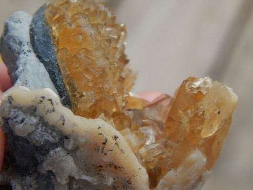 Another Fossilized (partial) Clam Shell with Honey Calcite crystal cluster growth ! This thing is 2 