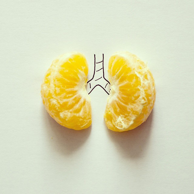 tastefullyoffensive:  Everyday Objects Blended With Simple Sketches (Part 2) by Javier