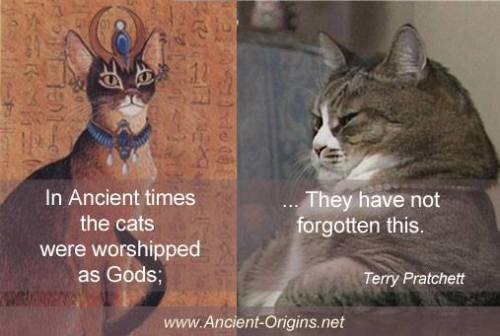 ancient cats.