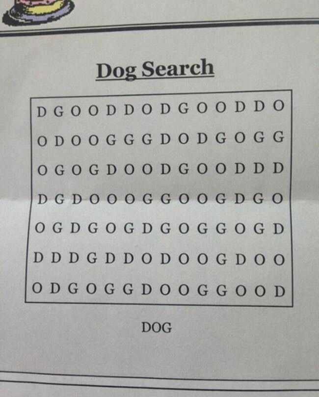 afrikangyal:  Y'ALL I FOUND IT OMFG I FOUND THE FUCKIN DOG  That ain&rsquo;t