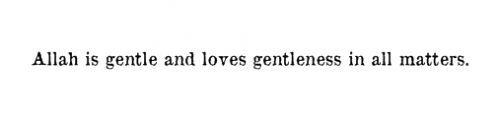 Allah is Gentle (Prophet Muhammad ﷺ Quote)“Allah is gentle and loves gentleness in all matters”
www.IslamicArtDB.com » Hadith » Sahih al-Bukhari
Originally found on: thepathofabeliever