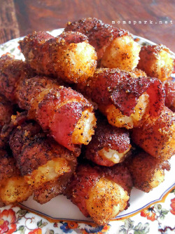 thuglifepanda:  wegrewupscrewups:  chokesngags:  shipwreckedinsc:  &ldquo;Sweet Bacon Tator Tots&rdquo; by momspark.net  You mother fucker  Oh shit  Son of a beach 