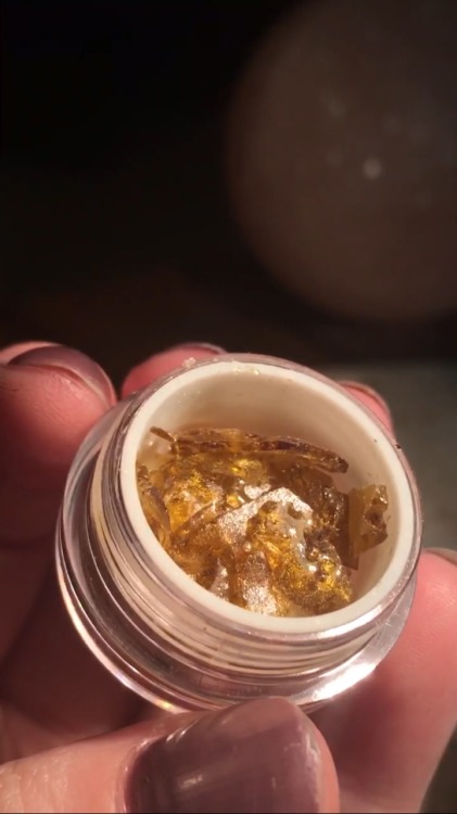 horrordive:  Grapefruit shatter 💥