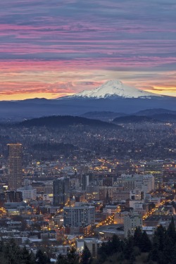 r2–d2:  Rose City Sunrise by (Joshua