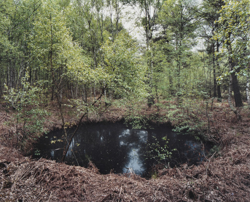 nevver:Bomb craters, Henning Rogge