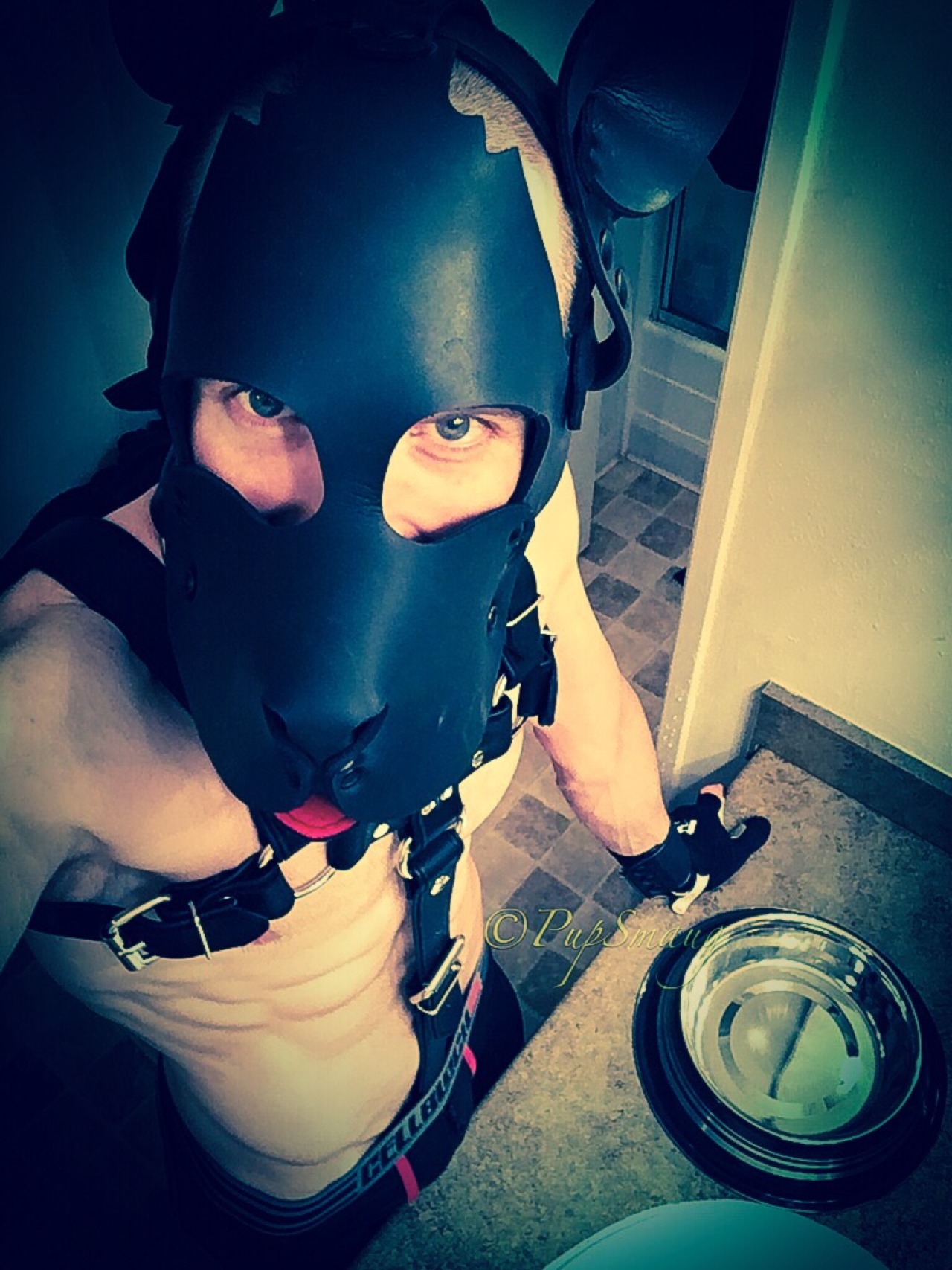 kinkyboyfrance:  pupsmaug:  🐶Arooo. Pup having a great new year. Wags to all my