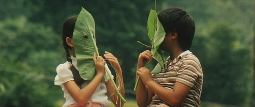 pickypicnic:  green green grass of home (1983)