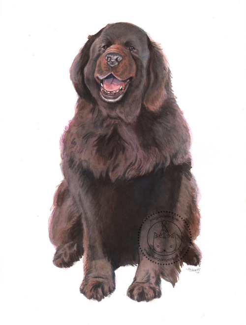 Lookit this fine thicc floofer!Done this past holiday season as a pet portrait ^_^