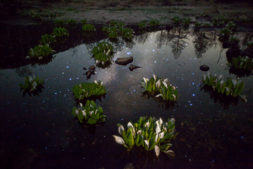 quiet-nymph:Photography  by masahiro miyasaka on Flickr