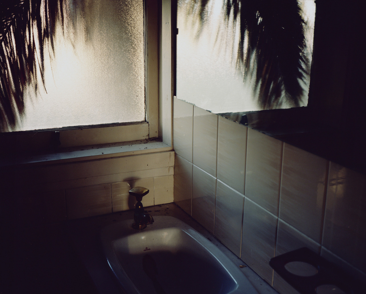 hellanne:  by Wouter Van de Voorde