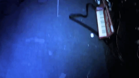 laney-boy:skeletons//ode to sleep