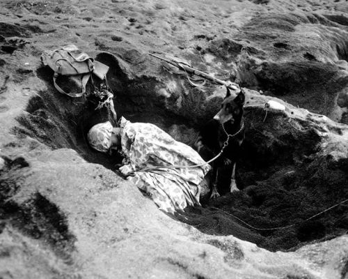 warhistoryonline:  A Marine with the 7th War Dog Platoon, 25th Marine Regiment, takes a nap while Butch, his war dog, stands guard. Iwo Jima, February 1945. https://wrhstol.com/2NVJpwM