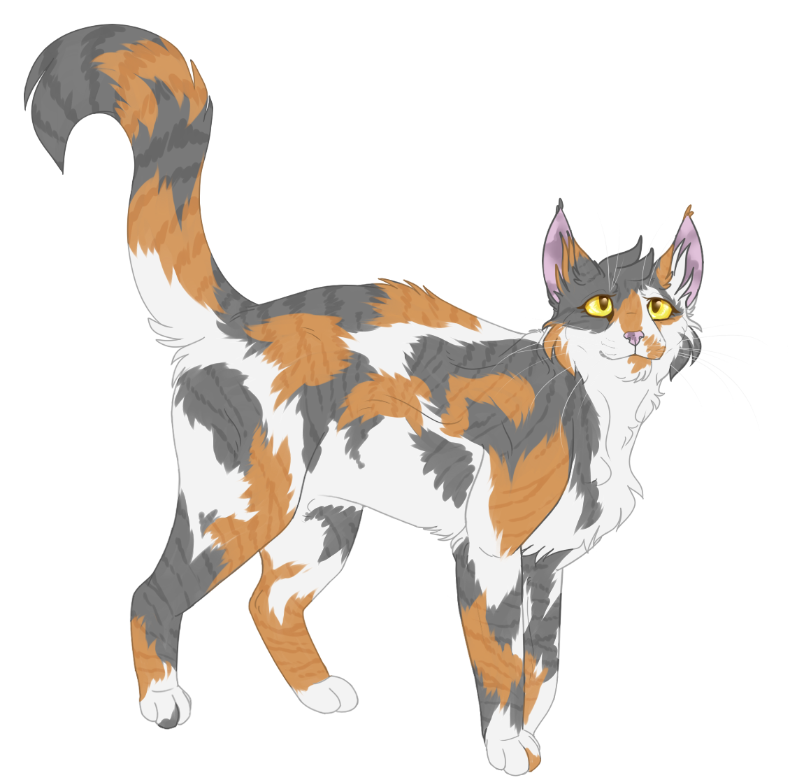 My Warrior Cats Characters! (OC Wiki) - Chanterellepaw - Wattpad