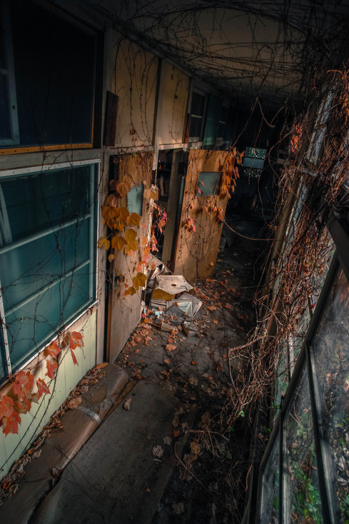 Abandoned “Konoji” hospital- Aコの字医院,日本