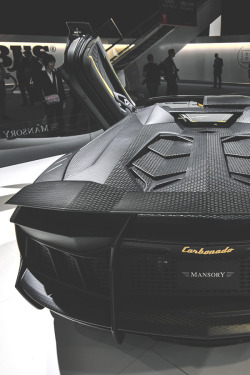 europeanvanity:  Mansory Carbonado LP1250 Roadster | Ev